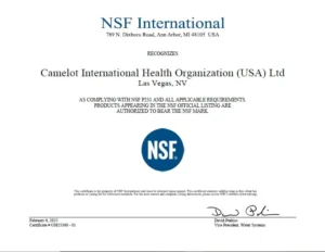 NSF_1